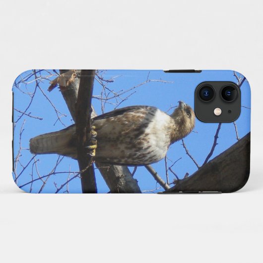 Vogel van Prey iPhone 5 hoesje (Achterkant (horizontaal))