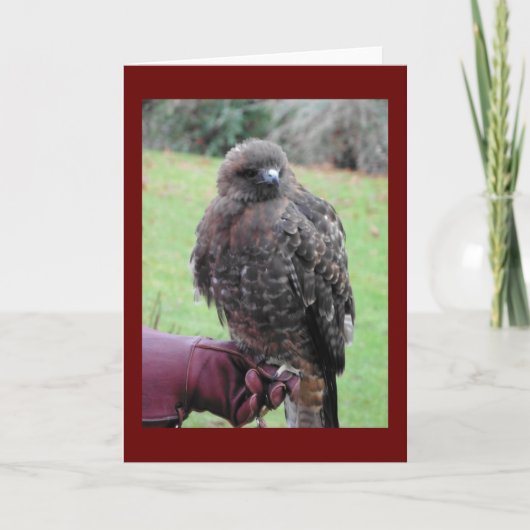 Vogel van Prey Kaart (Voorkant)