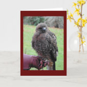 Vogel van Prey Kaart (Gele Bloem)