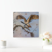 Vogel van Prey Osprey op het bijkantoor Vierkante Klok (Huis)