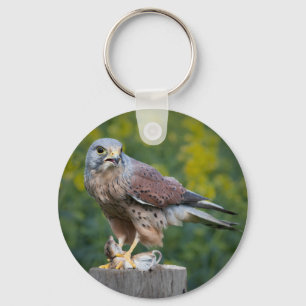Vogel van Prey Sleutelhanger/Keyring Sleutelhanger