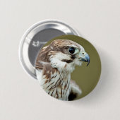 Vogel van prooivalk komt dicht ronde button 5,7 cm (Voorkant /achterkant)