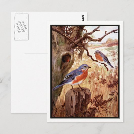  vogel van Robert Bruce Horsfall Briefkaart (Voorkant / Achterkant)