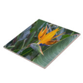 Vogel van tegel van Paradise-bloemkeramiek Tegeltje (Zijkant)