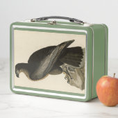 Vogel van Washington uit Audubon's Vogels van Amer (In situ)