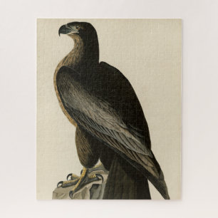 Vogel van Washington uit Audubon's Vogels van Amer Legpuzzel