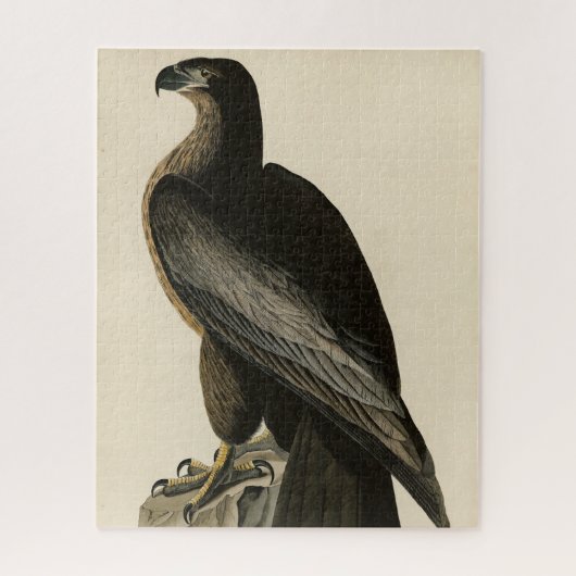 Vogel van Washington uit Audubon's Vogels van Amer Legpuzzel (Verticaal)