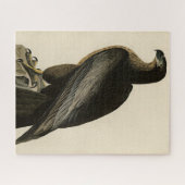Vogel van Washington uit Audubon's Vogels van Amer Legpuzzel (Horizontaal)