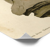 Vogel van Washington uit Audubon's Vogels van Amer Poster (Hoek)