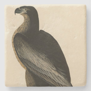 Vogel van Washington uit Audubon's Vogels van Amer Stenen Onderzetter