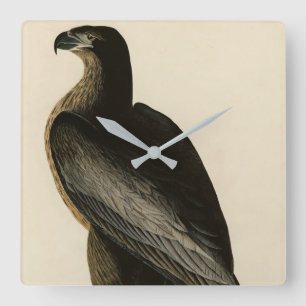 Vogel van Washington uit Audubon's Vogels van Amer Vierkante Klok