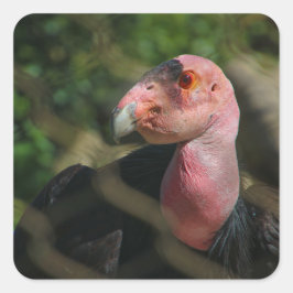 vogel vierkante sticker