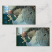  vogel visitekaartje (Voorkant / Achterkant)