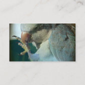  vogel visitekaartje (Achterkant)