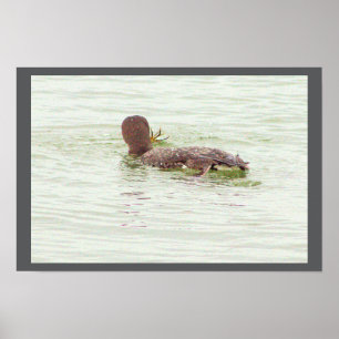 Vogel vissen op oceaanposter poster