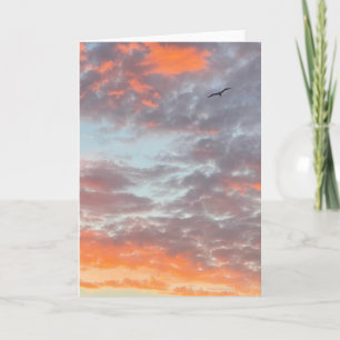 Vogel Vliegend Roze Wolken Lucht Foto Kaart