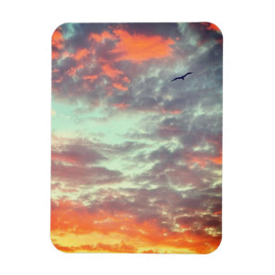 Vogel Vliegend Roze Wolken Lucht Foto Magneet