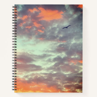 Vogel Vliegend Roze Wolken Lucht Foto Notitieboek