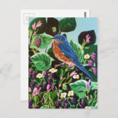 Vogel, vogels en meer vogels! briefkaart (Voorkant / Achterkant)