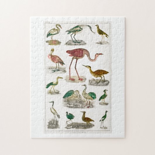 vogel , vogels , zonder blikken of blozen , nieuw legpuzzel (Verticaal)