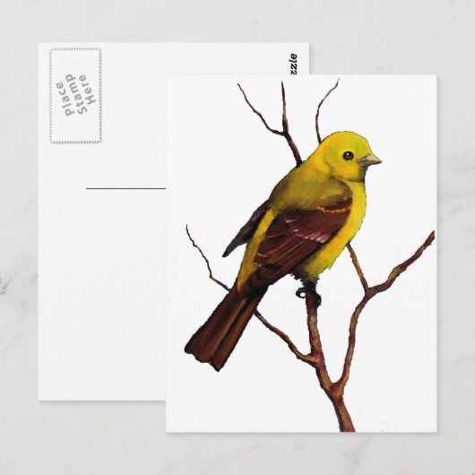 Vogel: Vrouw Westerne Tanager: Oorspronkelijke ill Briefkaart (Voorkant / Achterkant)