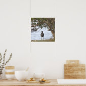 Vogel Wachten Foto Poster (Keuken)