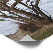 Vogel Wachtende Foto Poster (Hoek)