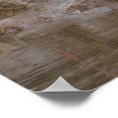 Vogel Waterlandschap Foto Poster (Hoek)