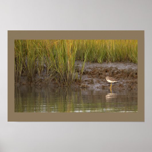 Vogel Waterlandschap Foto Poster (Voorkant)