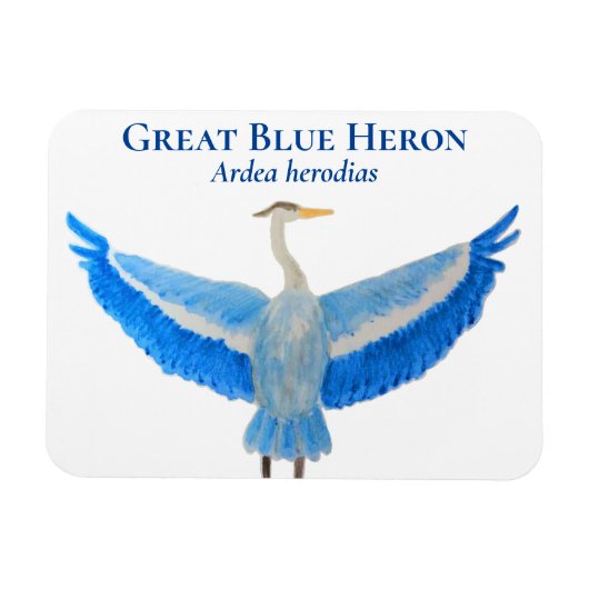Vogel Waterverf Wetenschappelijke Grote Blauwe Her Magneet (Horizontaal)