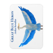 Vogel Waterverf Wetenschappelijke Grote Blauwe Her Magneet (Verticaal)