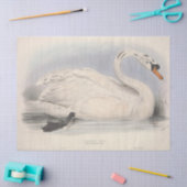 Vogel Witte Zwaan Ephemera Decoupage Tissuepapier (Craft)