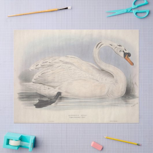 Vogel Witte Zwaan Ephemera Decoupage Tissuepapier (Craft)