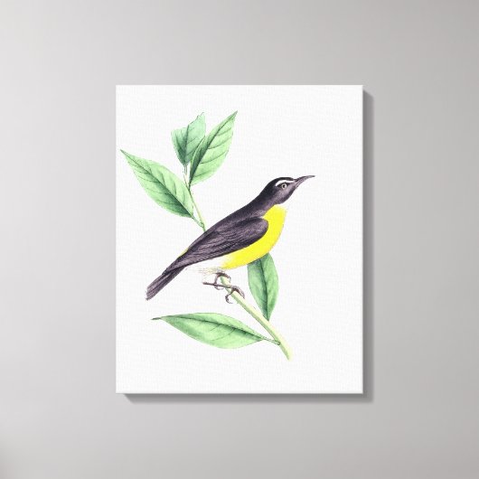 vogel | Zazzle_Growshop. Canvas Afdruk (Voorkant)