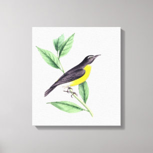 vogel   Zazzle_Growshop. Canvas Afdruk