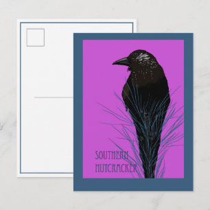 Vogel -- Zuidelijke Notenkraker  Briefkaart