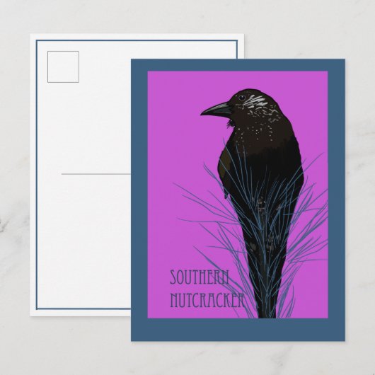 Vogel -- Zuidelijke Notenkraker Briefkaart (Voorkant / Achterkant)