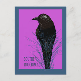 Vogel -- Zuidelijke Notenkraker Briefkaart