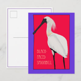 Vogel -- Zwarte Lepelaar Ansichtkaart Briefkaart