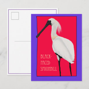 Vogel -- Zwarte Lepelaar Ansichtkaart Briefkaart