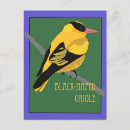 Vogel - Zwarte Nek Wielewaal Briefkaart