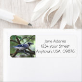 Vogelaars!  Blue Jay, gepersonaliseerd Etiket (Insitu)