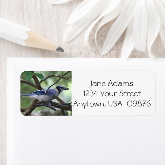 Vogelaars!  Blue Jay, gepersonaliseerd Etiket (Insitu)
