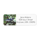 Vogelaars!  Blue Jay, gepersonaliseerd Etiket (Voorkant)