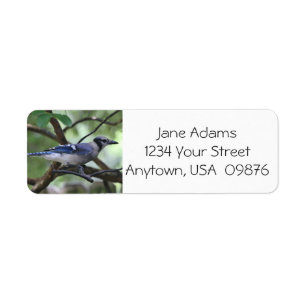 Vogelaars!  Blue Jay, gepersonaliseerd Etiket