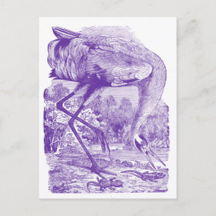  vogelAfbeelding   PAARS   Hele kraan Briefkaart