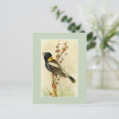 vogelafdrukken - Bobolink Briefkaart (Staand voorkant)