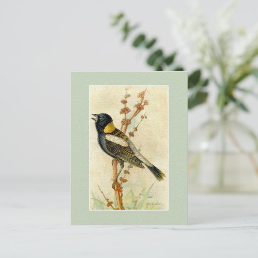 vogelafdrukken - Bobolink Briefkaart (Staand voorkant)