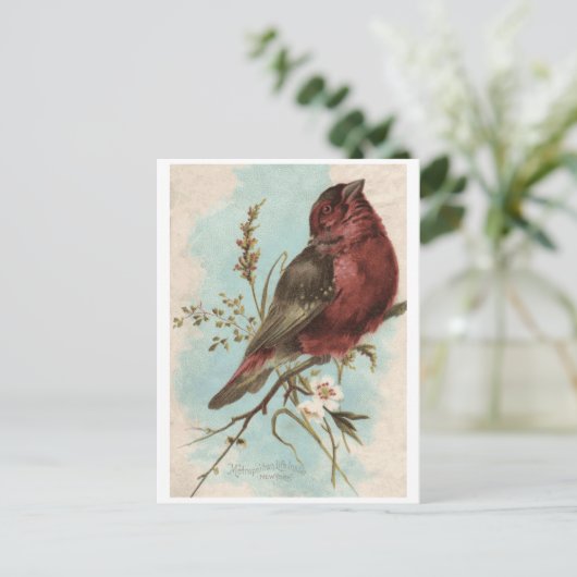 vogelafdrukken briefkaart (Staand voorkant)