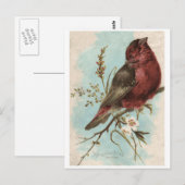 vogelafdrukken briefkaart (Voorkant / Achterkant)